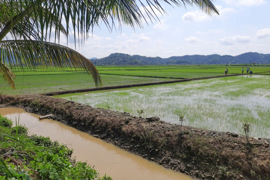 Restructuring Low-Yield Crops Based on Regional Advantages