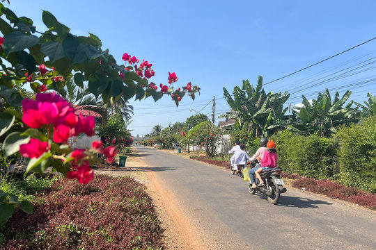Hoài Ðức: Từ thương mại - dịch vụ đến khai thác lợi thế ven sông La Ngà