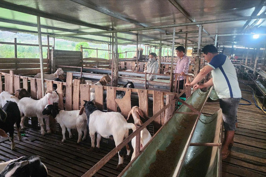 Thanh niên Lâm Đồng xung kích trong phong trào và phát triển kinh tế
