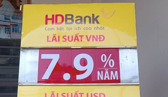 Lãi suất HDBank giảm mạnh 0,5 điểm phần trăm, lãi suất đặc biệt còn 7,6%/năm