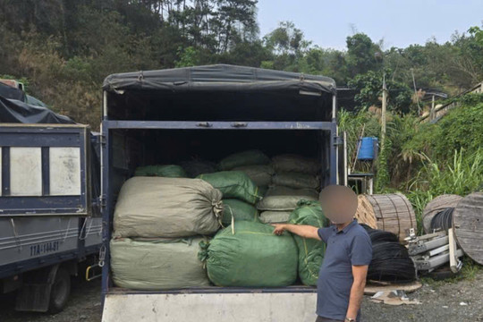 Công an tỉnh Cao Bằng tạm giữ hơn 2,6 tấn nguyên liệu thuốc lá không rõ nguồn gốc