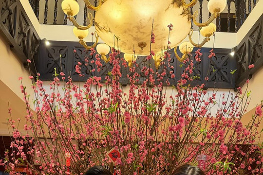 Hoa hậu Đỗ Mỹ Linh hé lộ tên em Happy, chuẩn bị đón con thứ hai