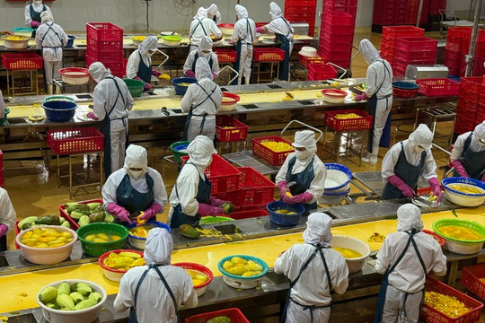 Xuất khẩu nông sản quý I/2026 đạt 16,69 tỷ USD, ưu tiên nâng cao giá trị thay vì sản lượng