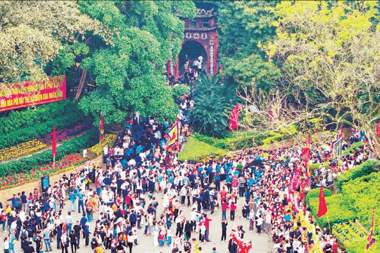 Như cây một cội, như con một nhà
