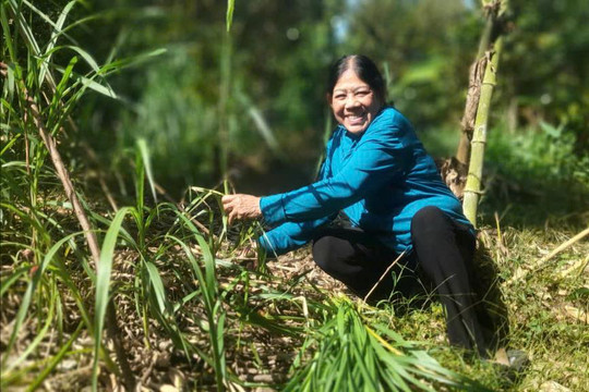 Hoài Ðức chọn lọc, nhân rộng mô hình Giảm nghèo có hiệu quả