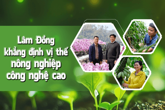 Lâm Đồng khẳng định vị thế nông nghiệp công nghệ cao