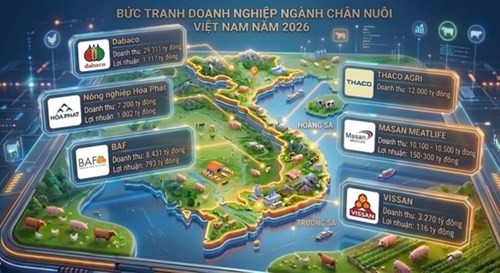 Doanh nghiệp nội chi phối ngành chăn nuôi, mục tiêu doanh thu kỷ lục năm 2026