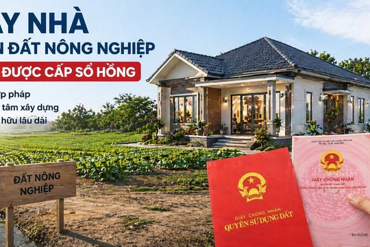 Cấp sổ hồng cho nhà xây trên đất nông nghiệp: Điều kiện và quy định mới theo Luật Đất đai 2024
