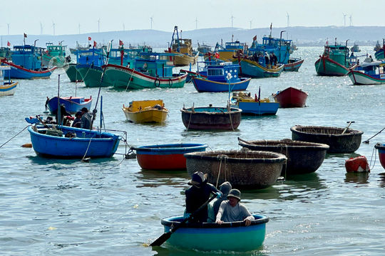 “Sea Blessings” During the April 30–May 1 Holiday in Phan Ri Cua