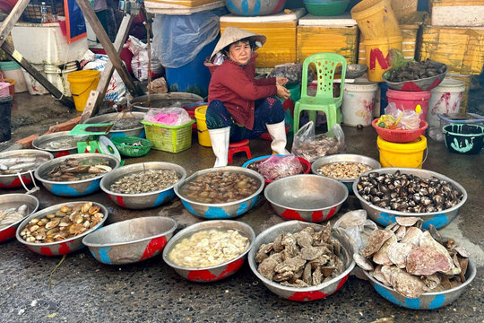 "Lộc biển" dịp lễ 30/4 và 1/5 ở Phan Rí Cửa
