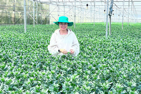 Lam Dong Supports Youth Startups With Preferential Loans