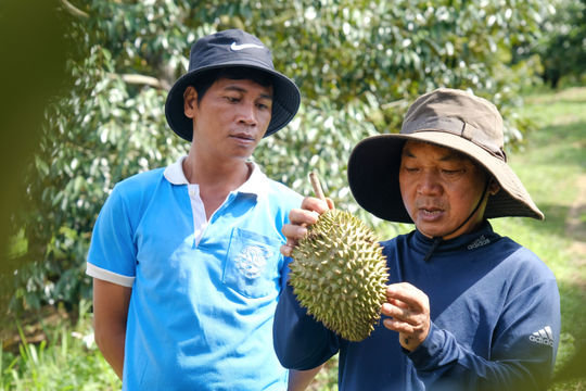 Đam Rông 2: Giữ nhịp từ cơ sở, tạo đà phát triển