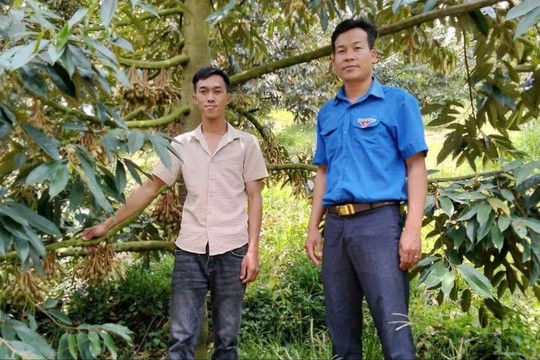 Thanh niên dân tộc thiểu số vươn lên làm giàu