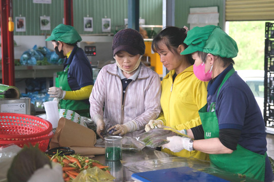 Nâng cao quyền năng kinh tế cho phụ nữ