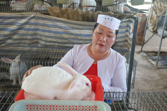 Turning Financial Support into an Effective Rabbit-Raising Model