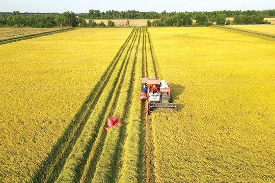 Việt Nam dự kiến giảm 1 triệu ha đất nông nghiệp phục vụ hạ tầng và đô thị đến năm 2030