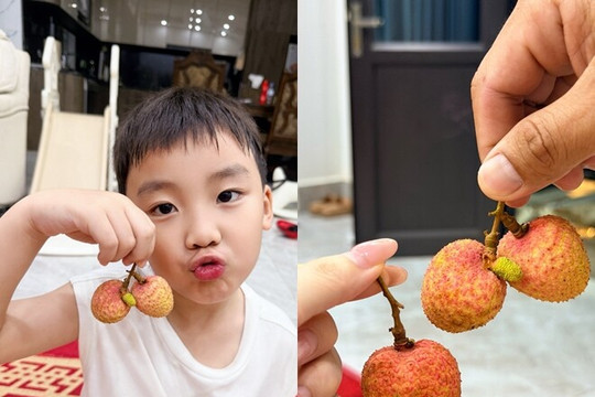 Hòa Minzy khoe con trai làm mẫu nhí bán vải tại Bắc Ninh và tin tức sao Việt ngày 24h