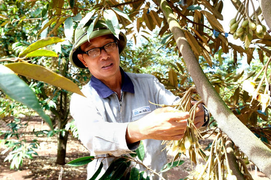 Xây dựng đời sống văn hóa từ mỗi nếp nhà