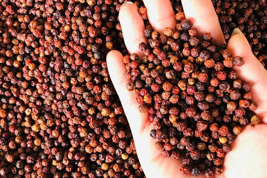 Giá tiêu hôm nay 7/5/2026: Tiêu trong nước đi ngang, duy trì ở mức 140.000–144.000 đồng/kg