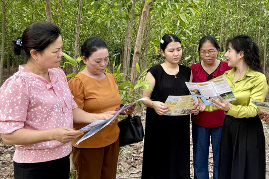 Chung tay nâng cao chất lượng dân số tại xã Hàm Tân