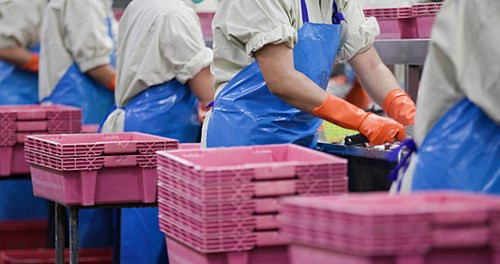 Xuất khẩu thủy sản Việt Nam quý I/2026 đạt 2,64 tỷ USD trước loạt áp lực mới