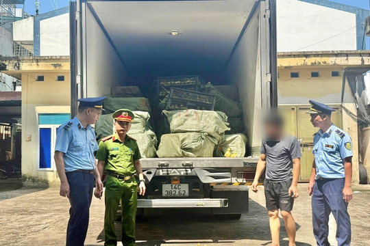 Quảng Ninh phát hiện xe tải chở 24.000 vịt giống và 2,5 tấn thực phẩm lậu