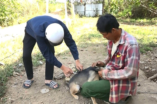 Tiêm 1.900 liều vắc xin phòng dại cho vật nuôi tại Cư Jút