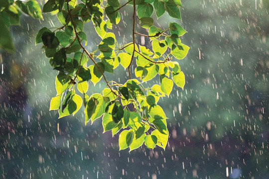 Dự báo thời tiết từ 08/05/2026 đến 18/05/2026: Bắc Bộ mưa lớn, Trung Bộ nắng nóng gay gắt