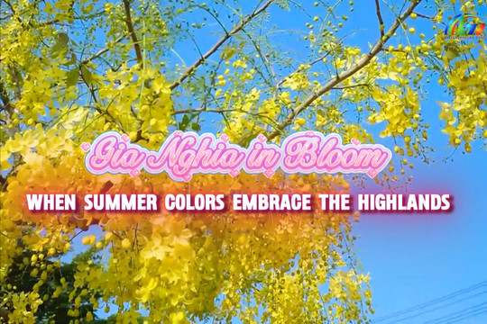 Gia Nghia in Bloom – When Summer Colors Embrace the Highlands