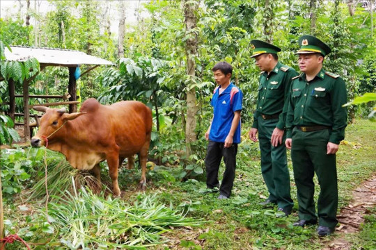 Bộ đội biên phòng chung tay xây dựng nông thôn mới vùng biên
