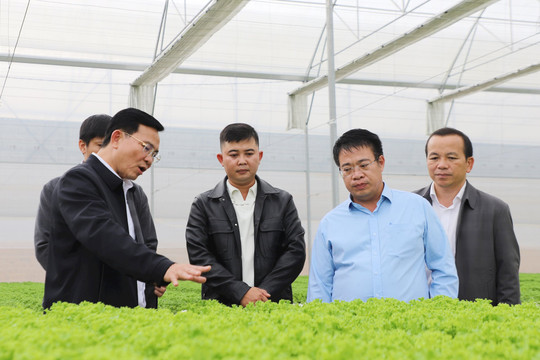 Lam Dong launches a “green race” toward a digital future