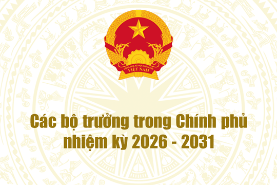 Tiểu sử tóm tắt các bộ trưởng trong Chính phủ nhiệm kỳ 2026-2031