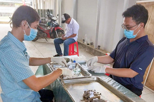 Ngành y tế Lâm Đồng tăng cường giám sát, phòng chống bệnh do vi rút Hanta