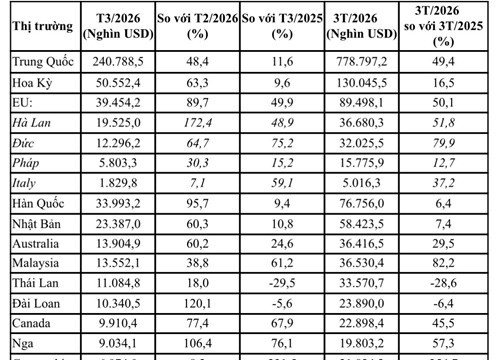 Xuất khẩu rau quả quý I/2026 đạt 1,527 tỷ USD, tăng trưởng 31,4%