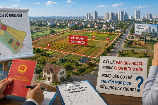 Quy định chuyển mục đích sử dụng đất trong vùng quy hoạch theo Luật Đất đai 2024