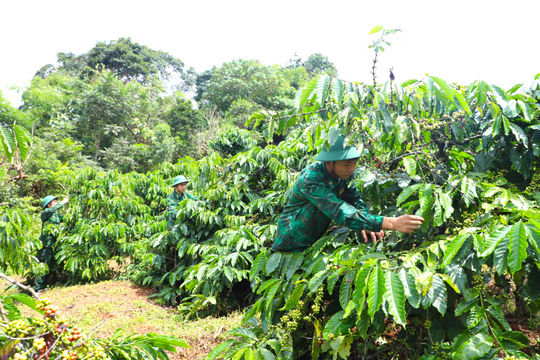 “Thực túc, binh cường” ở biên giới