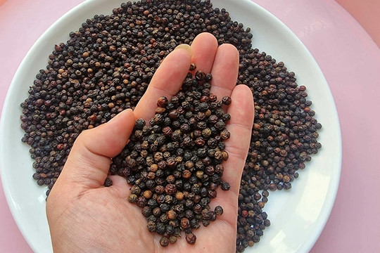 Giá tiêu hôm nay 13/5/2026: Giá nội địa tăng nhẹ, Việt Nam khẳng định vị thế tại Mỹ