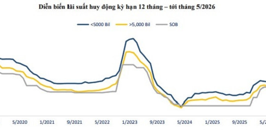 Lãi suất ngân hàng hôm nay 13/5/2026: Sacombank tăng mạnh, cao nhất đạt 8,0%/năm