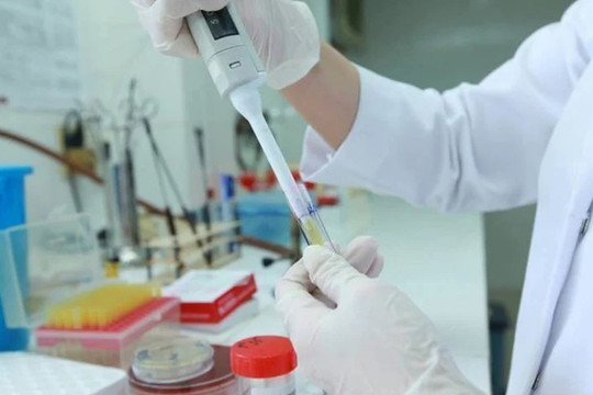 Sửa quy định chế độ bồi dưỡng giám định tư pháp