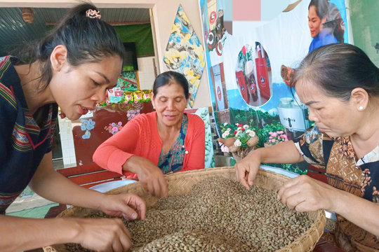 Thoảng hương cà phê mít