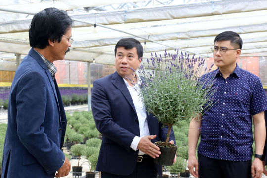Bí thư Tỉnh ủy Lâm Đồng Y Thanh Hà Niê Kđăm thăm, làm việc tại Công ty TNHH Dalat Hasfarm