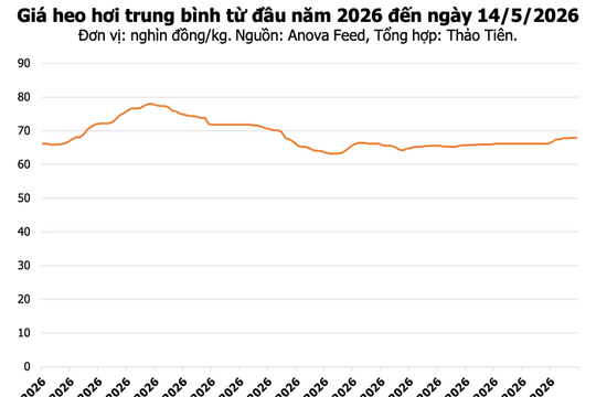 Giá heo hơi hôm nay 14/5: Toàn quốc đi ngang, cao nhất đạt 71.000 đồng/kg