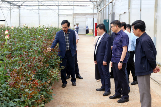 Lam Dong Provincial Party Secretary visits Dalat Hasfarm