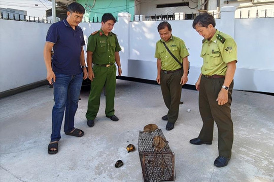 Người dân Lâm Đồng giao nộp 2 cá thể cù lần trong sách đỏ Việt Nam