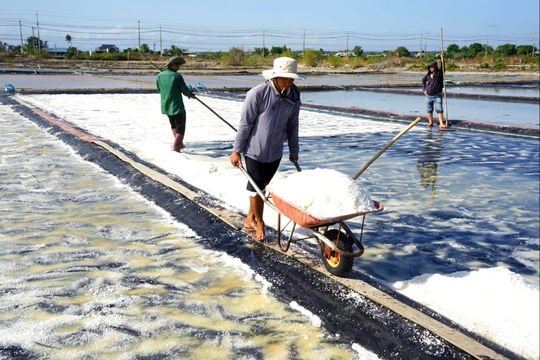 Hạt muối Lâm Đồng nâng giá trị nhờ đổi mới cách làm