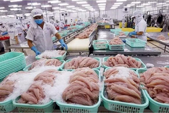 Quản lý an toàn thực phẩm theo chuỗi cần có cơ chế minh bạch