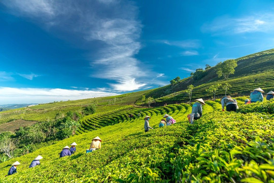 Xuân Trường - Ðà Lạt khơi thông nguồn lực tăng trưởng
