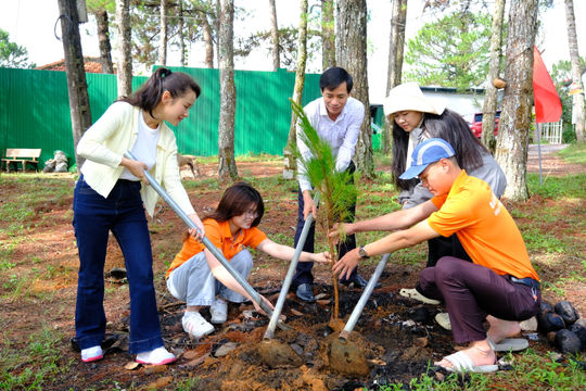 Lâm Đồng trồng cây xanh nhân kỷ niệm 136 năm Ngày sinh Chủ tịch Hồ Chí Minh