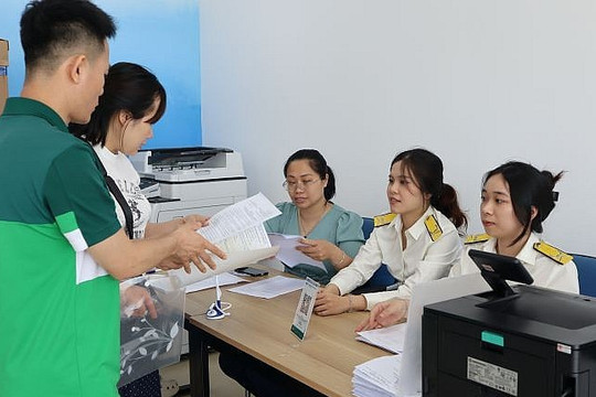 Hộ kinh doanh đã nộp tờ khai thuế theo ngưỡng cũ, xử lý thế nào?