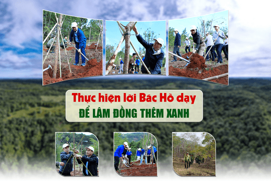 Thực hiện lời Bác Hồ dạy để Lâm Đồng thêm xanh